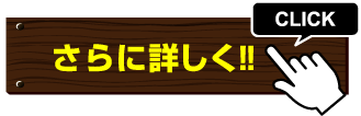 さらに詳しく！！